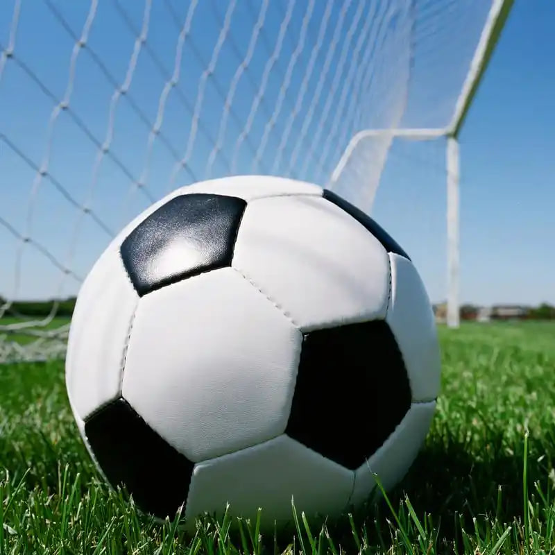 用户李女士分享任选九场计算心得